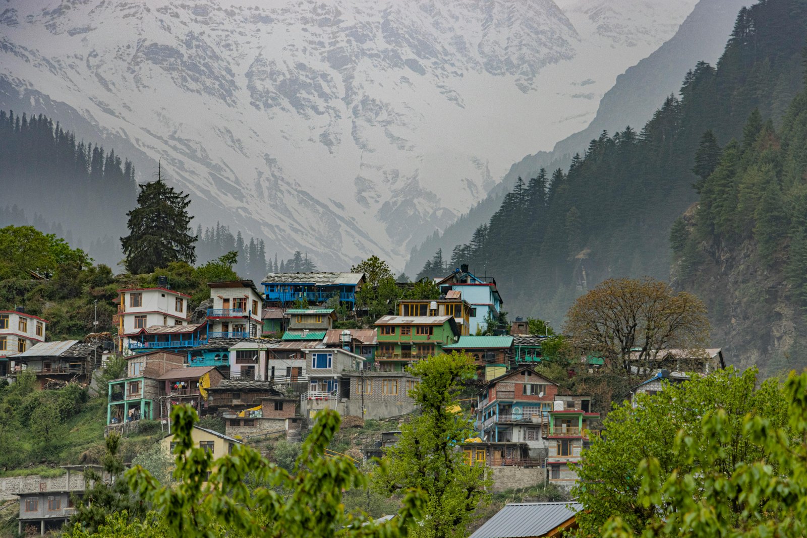 Himachal Pradesh