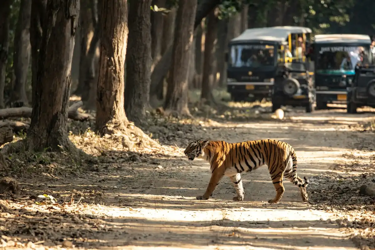 Nainital With Jim Corbett Tour Package