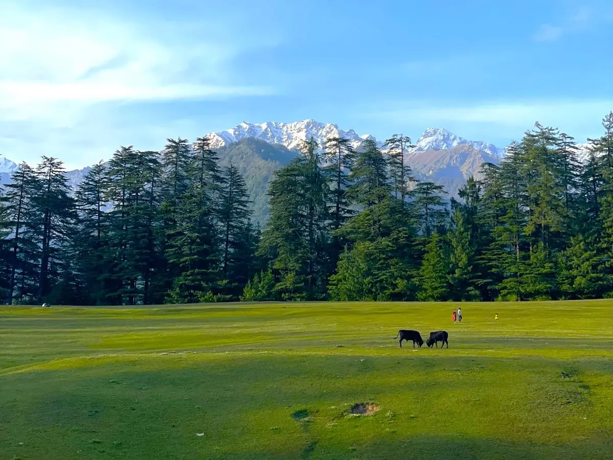 Manali With Tirthan Valley & Jibhi Tour